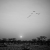Sunrise at Etosha National Park, Namibia
